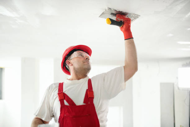 Best Trim and Molding Painting  in Berwyn Heights, MD